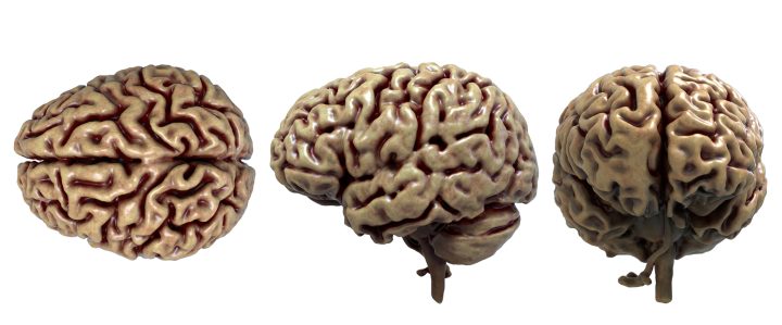Brain Science: <strong>How Procedure Shuts Down Innovative Thinking</Strong>