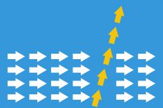 Complexity in Action: <strong>Why Paradigms Matter in Business</strong>