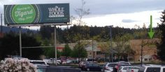 Is “Evil Empire” in the Whole Foods Brand Brief?